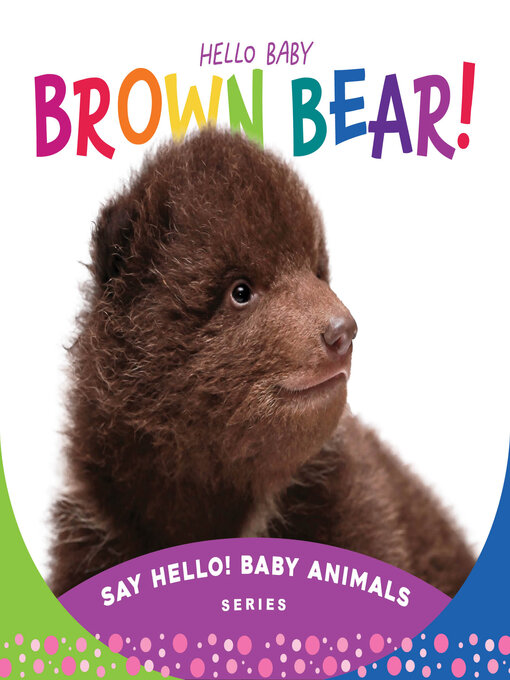 Title details for Hello Baby Brown Bear! by Beverly Rose - Available
